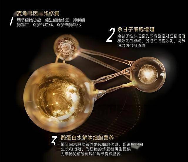 我花了3周，掌握了新近股票交易技巧影片的精髓